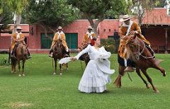 Lima Peruvian Paso Horse Show & Lunch - Full Day - Small Group Tour